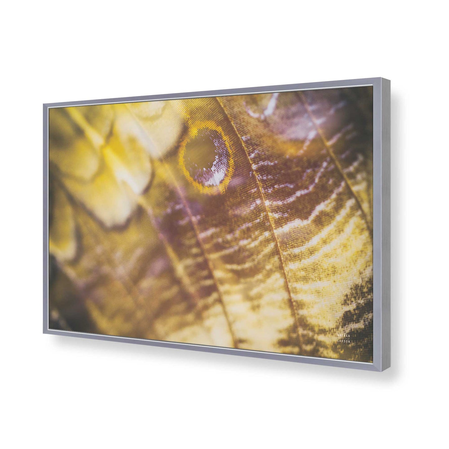 [Color:Polished Chrome], Picture of art in a Polished Chrome frame of the corner
