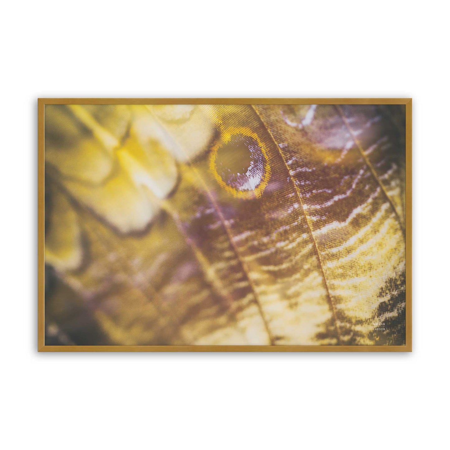 [Color:Polished Gold], Picture of art in a Polished Gold frame