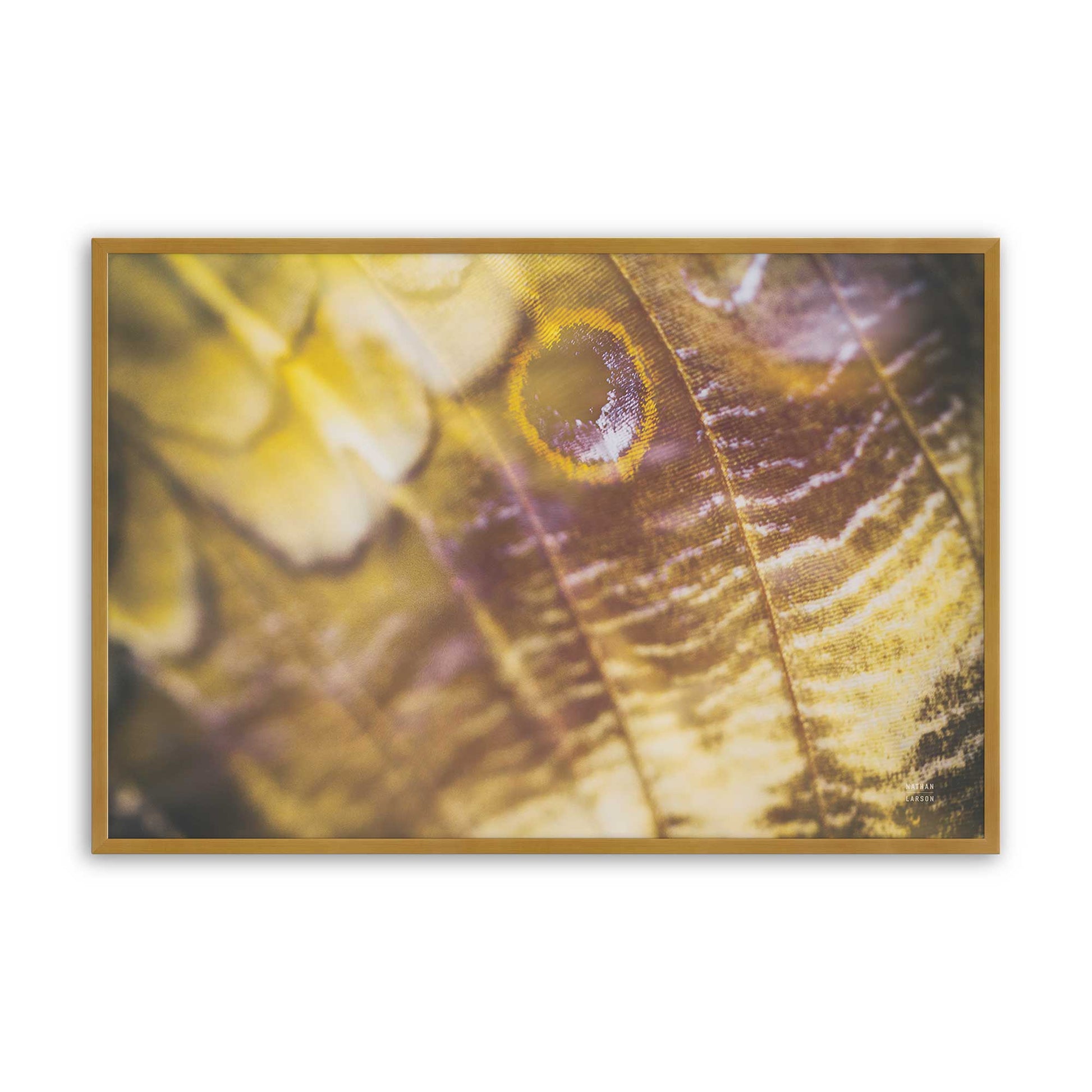 [Color:Polished Gold], Picture of art in a Polished Gold frame