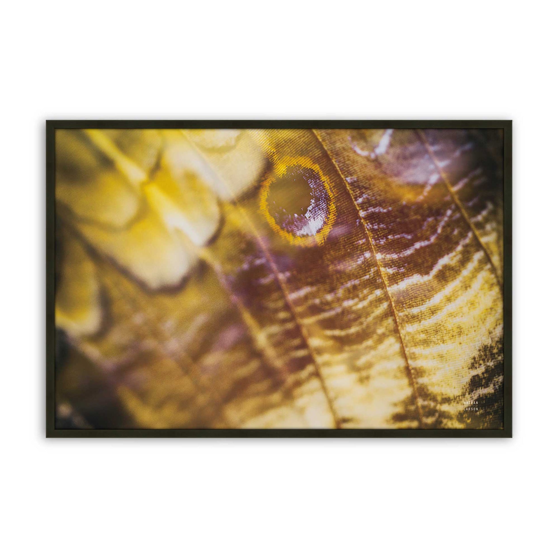 [Color:Satin Black], Front of the art