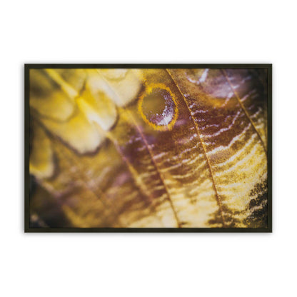 [Color:Satin Black], Front of the art