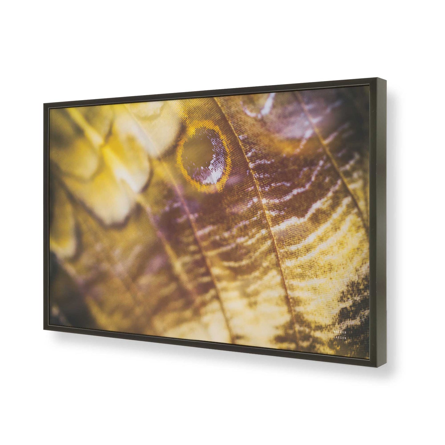 [Color:Satin Black], Picture of art in a Satin Black frame of the corner