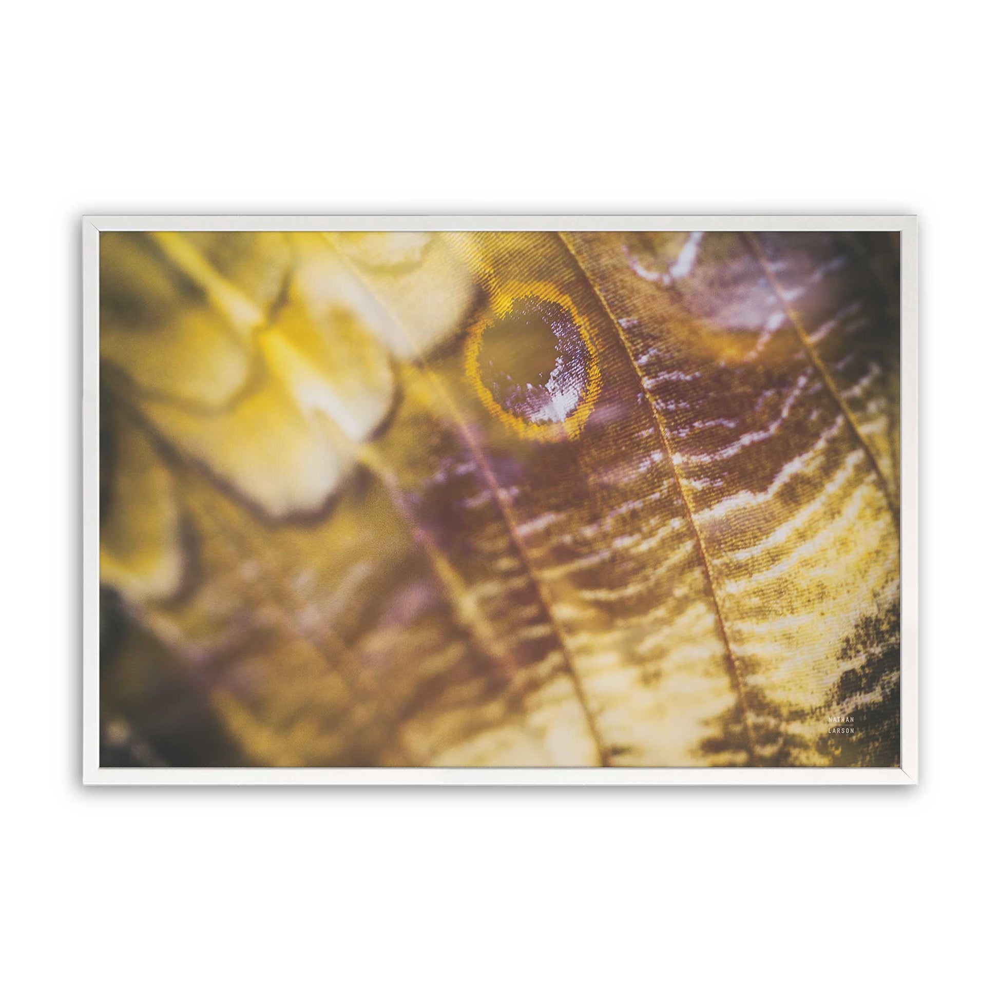 [Color:Opaque White], Picture of art in a Opaque White frame