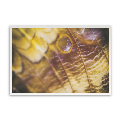 [Color:Opaque White], Picture of art in a Opaque White frame