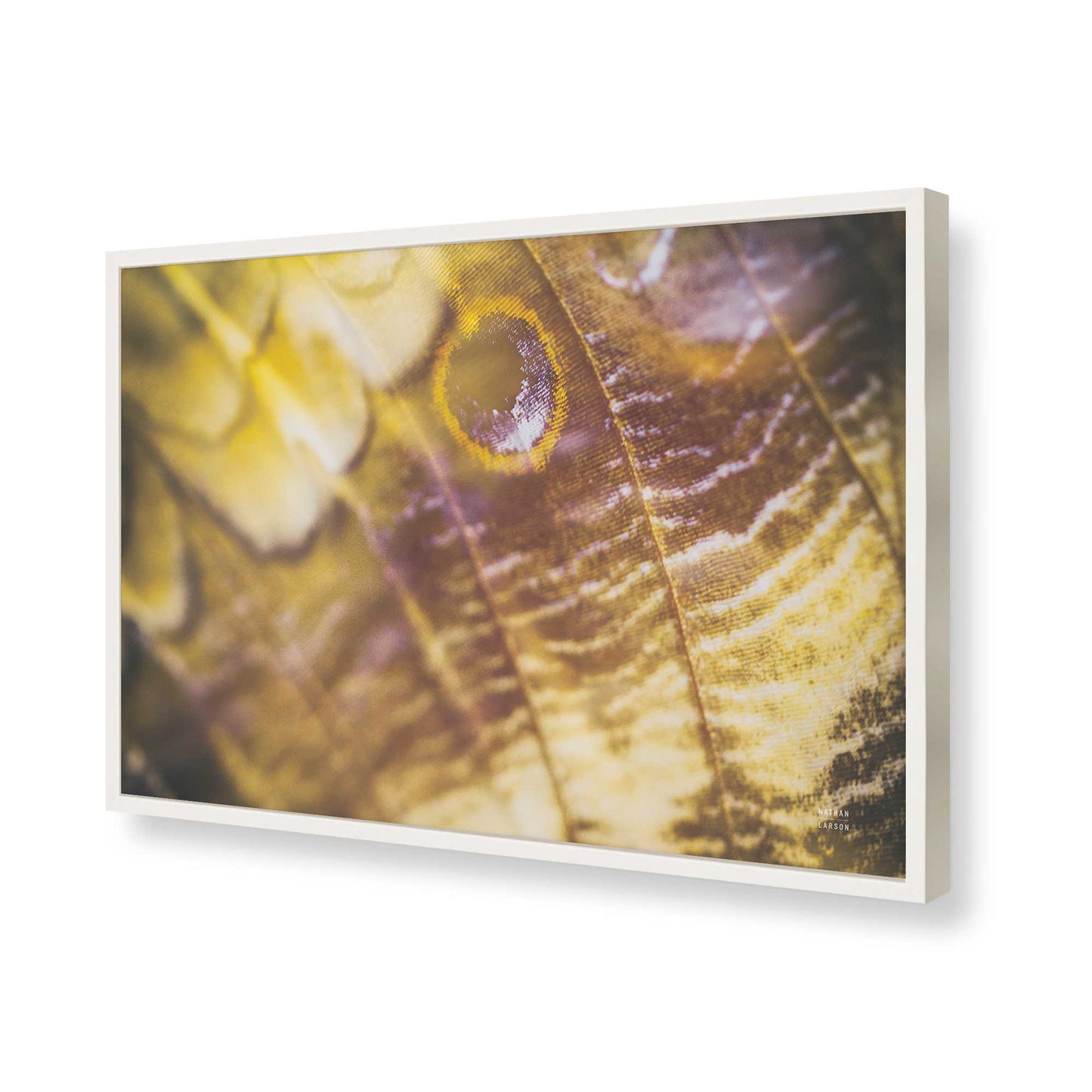 [Color:Opaque White], Picture of art in a Opaque White frame of the corner