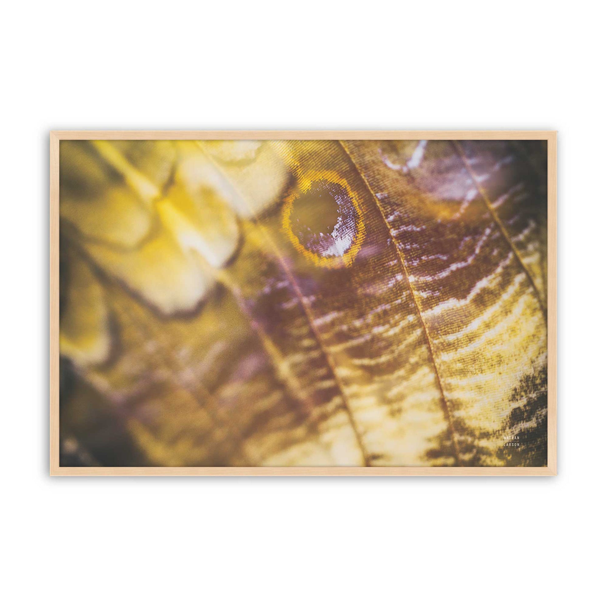 [Color:Raw Maple], Picture of art in a Raw Maple frame