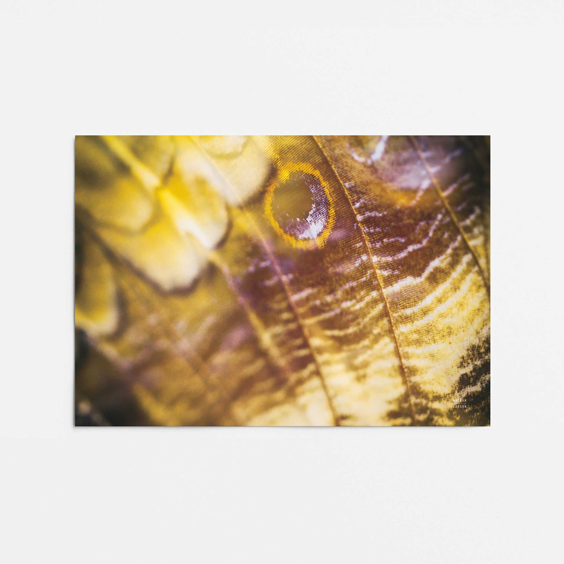[Color:Rolled Print], Picture of close up of art