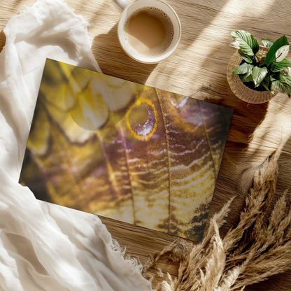 [Color:Rolled Print], Picture of close up of art