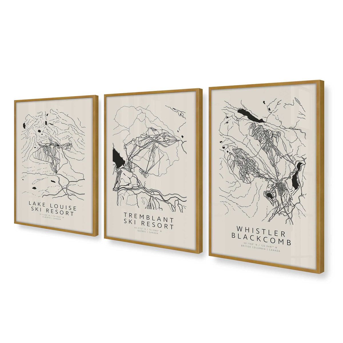 [Color:Polished Gold], Picture of art in a Polished Gold frame at an angle