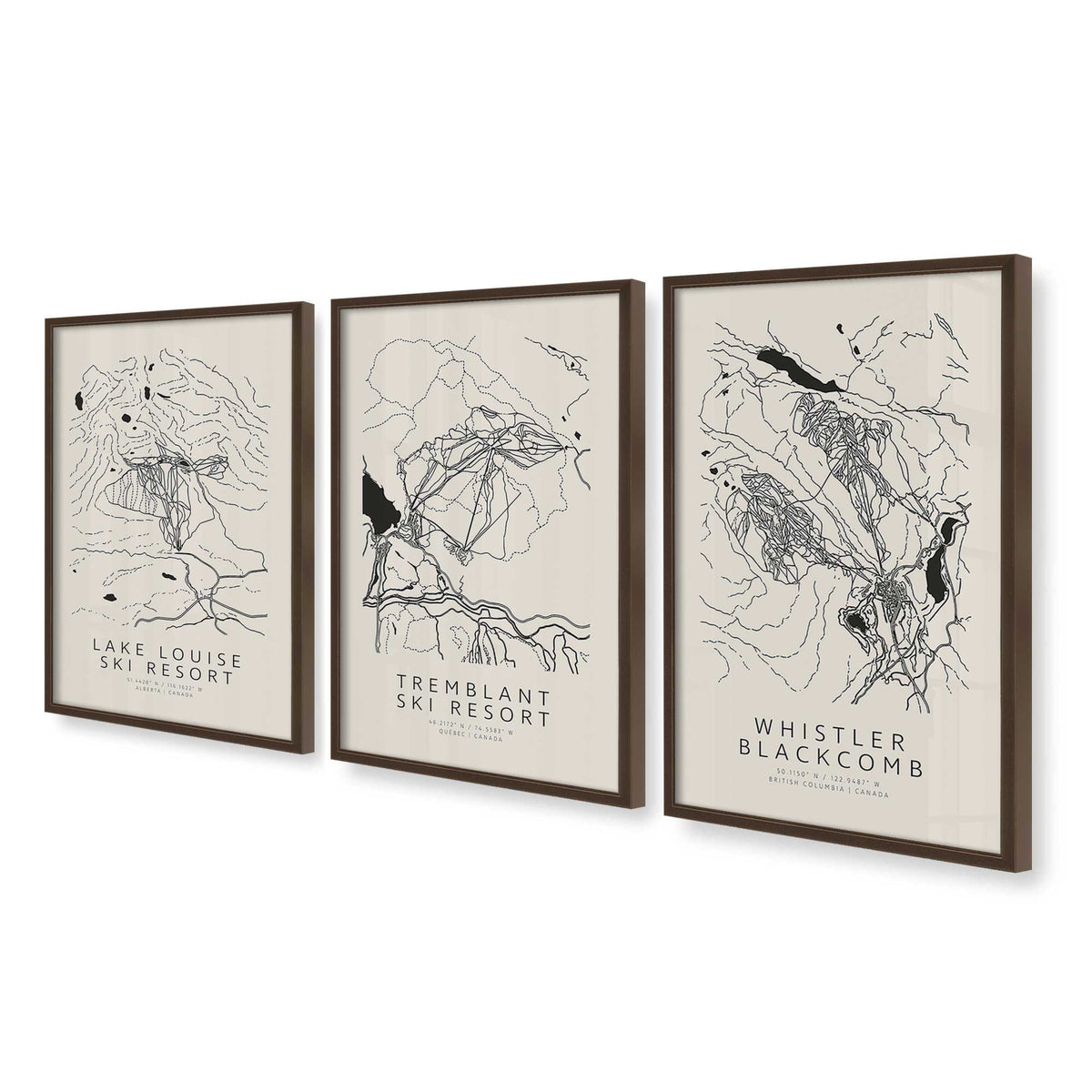 [Color:Belvinder Brown], Picture of art in a Belvinder Brown frame at an angle