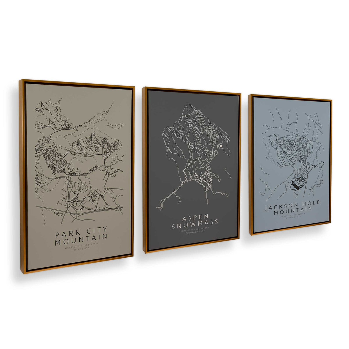 [Color:Polished Gold], Picture of art in a Polished Gold frame at an angle