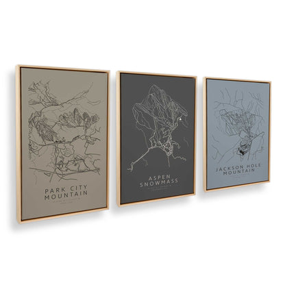 [Color:American Maple], Picture of art in an American Maple frame at an angle