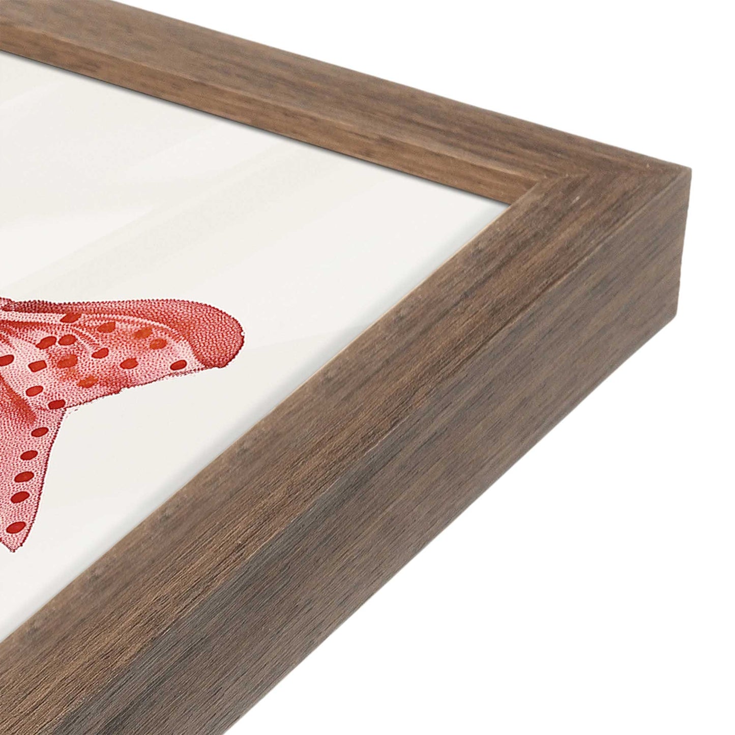 [Color:Walnut], Picture of art in a Walnut frame at an angle