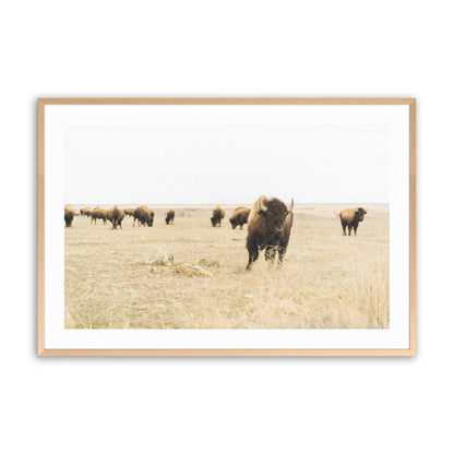 [Color:Raw Maple], Picture of art in a Raw Maple frame