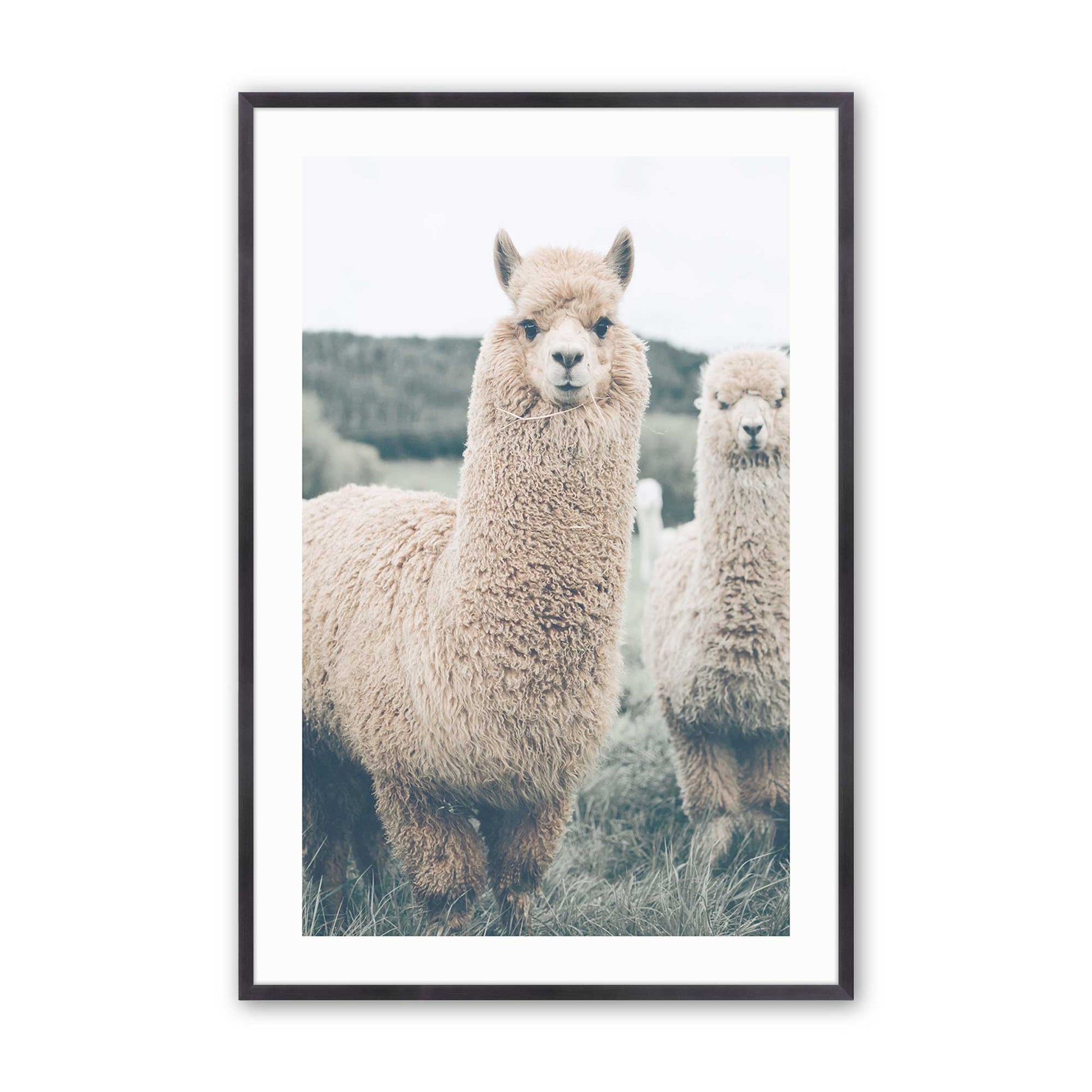 [Color:Weathered Zinc], Picture of art in a Weathered Zinc frame