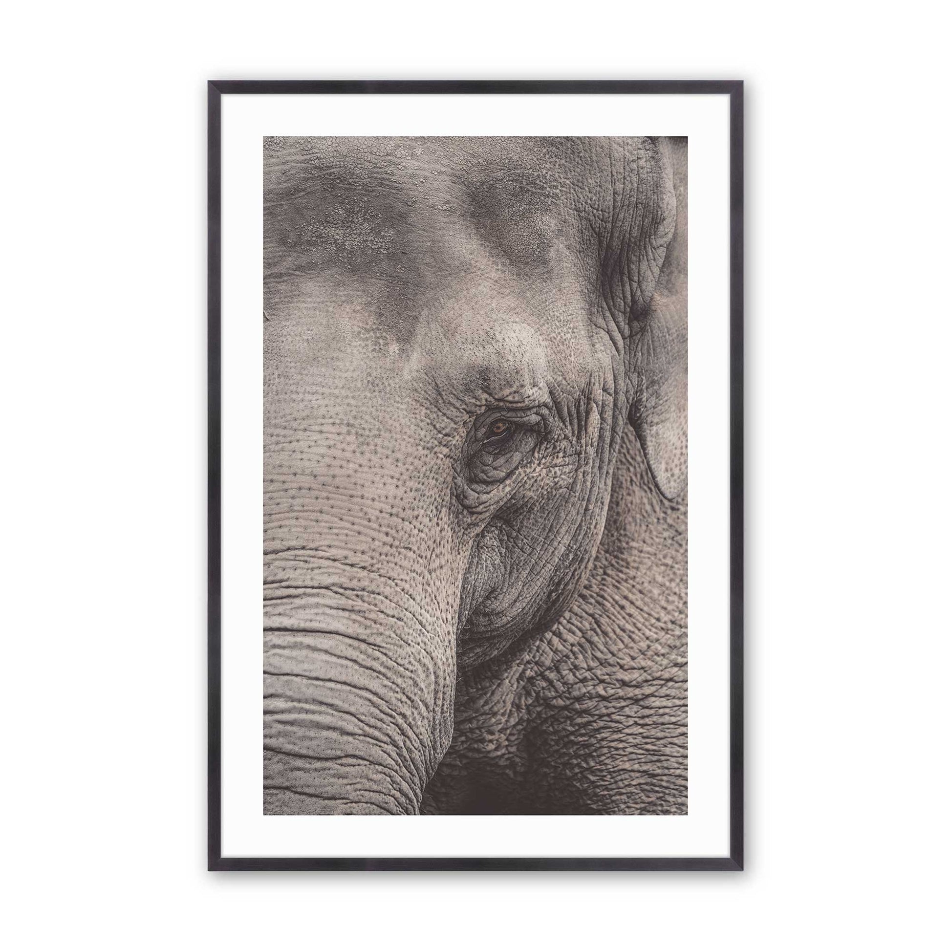 [Color:Weathered Zinc], Picture of art in a Weathered Zinc frame