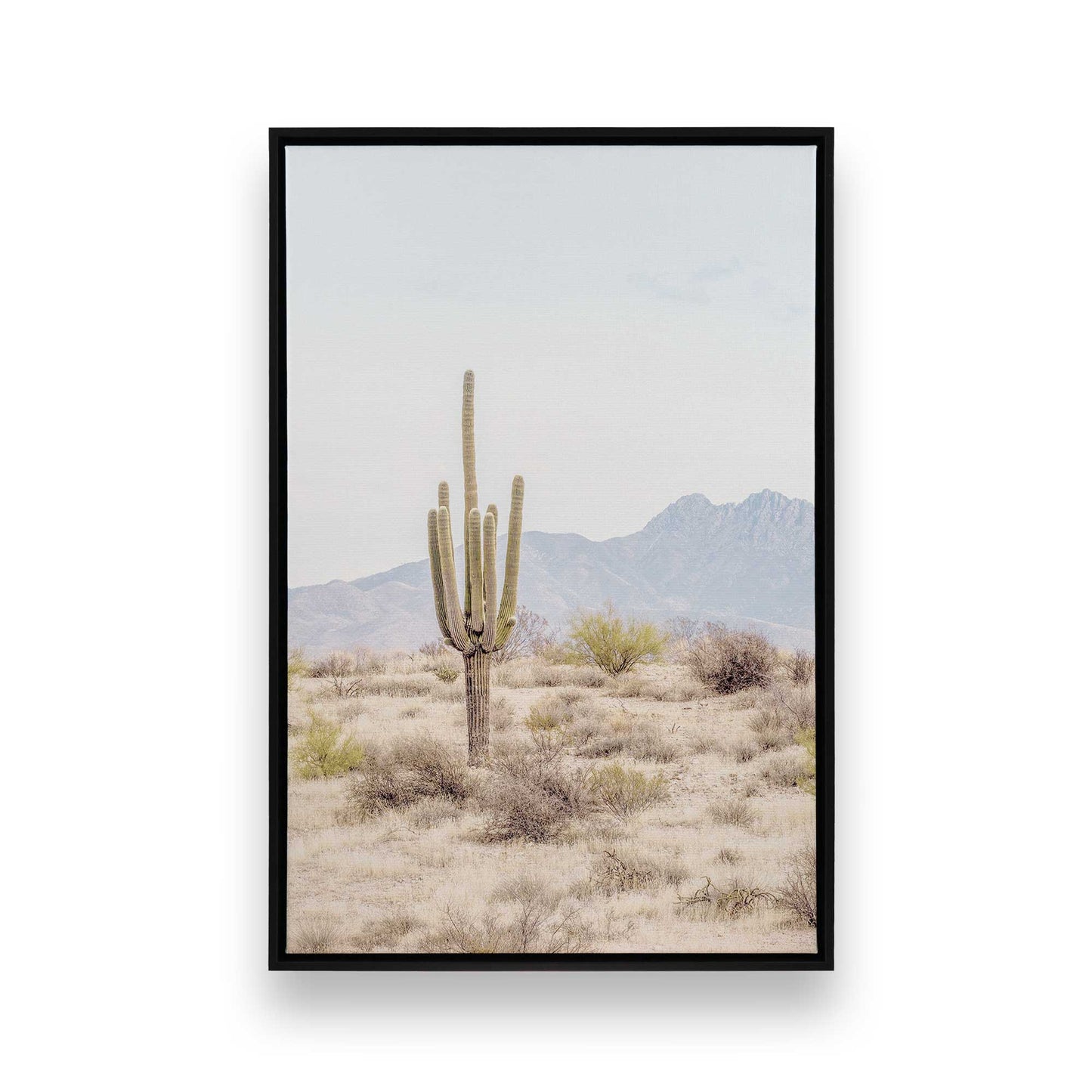 [Color:Satin Black], Front image of the art