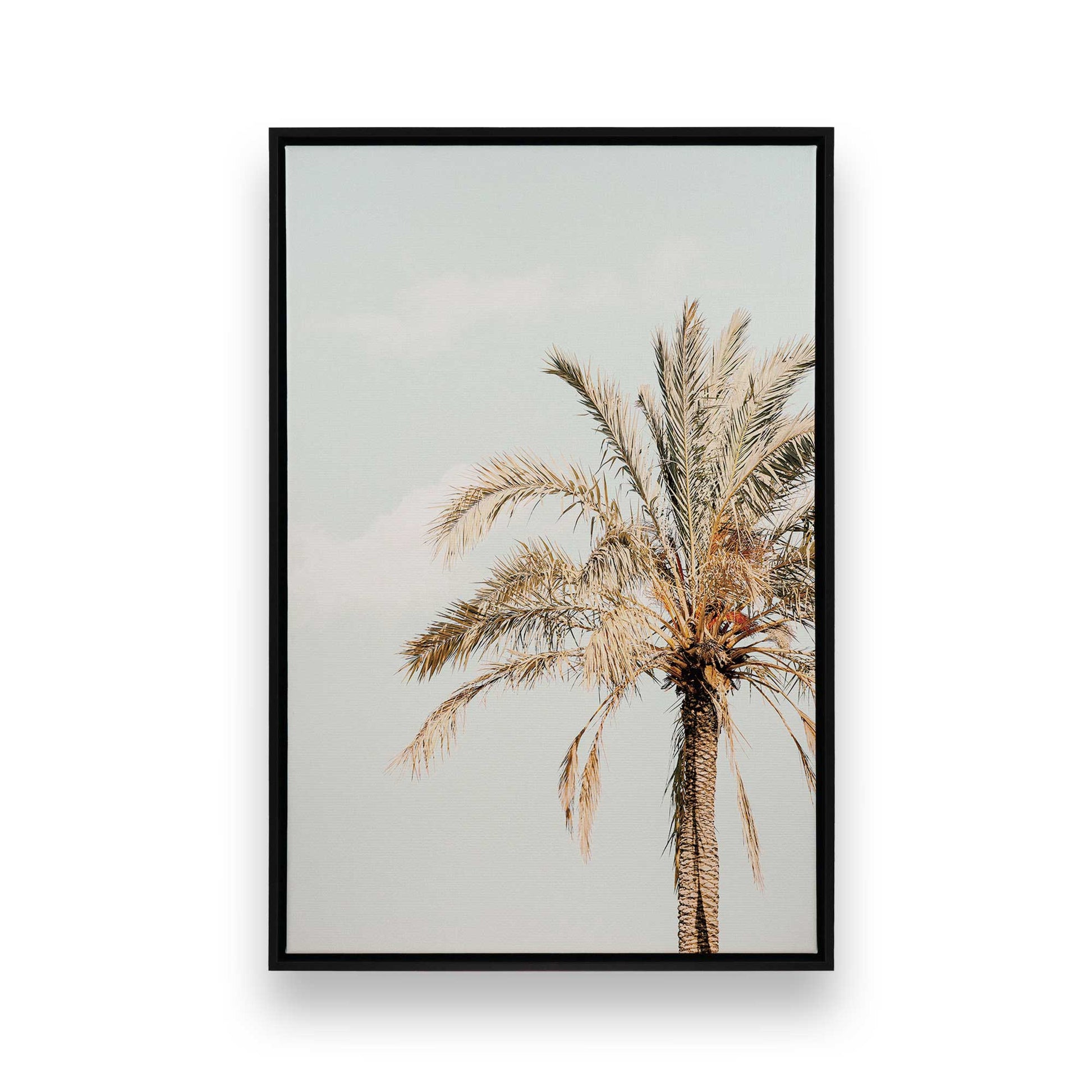 [Color:Satin Black], Front image of the art