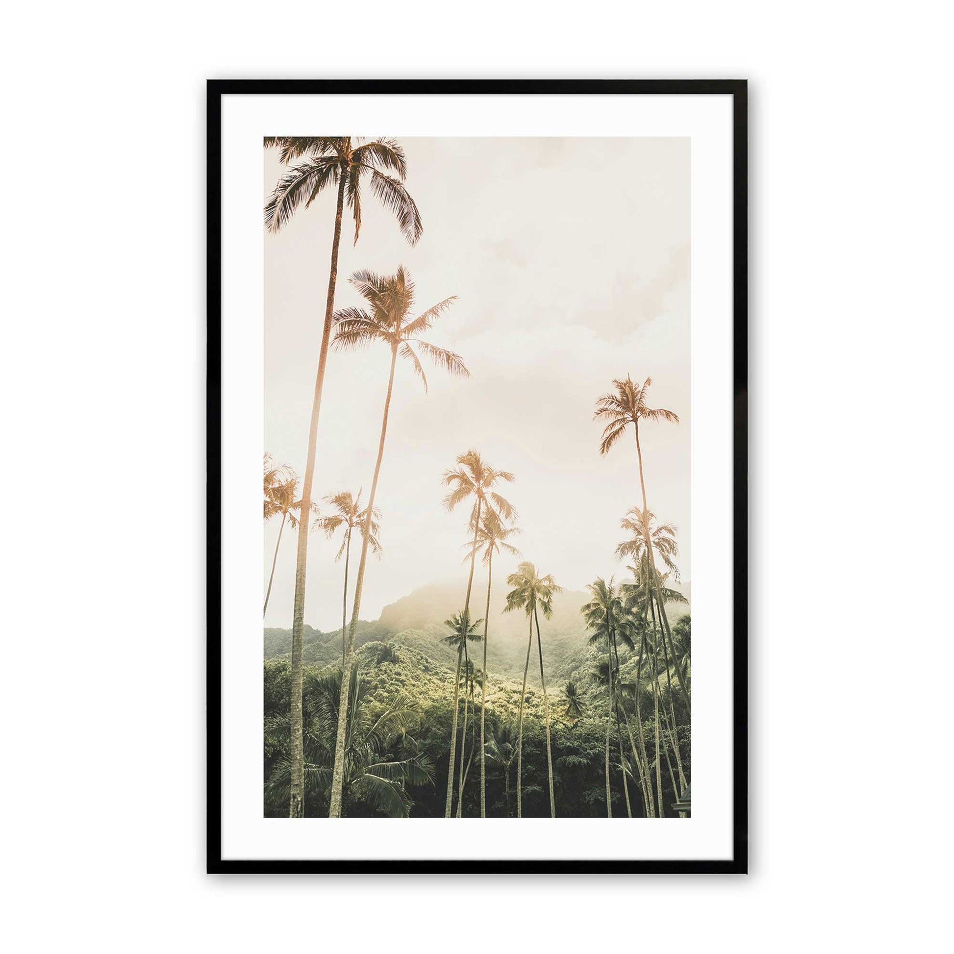 [Color:Satin Black],Front image of the art