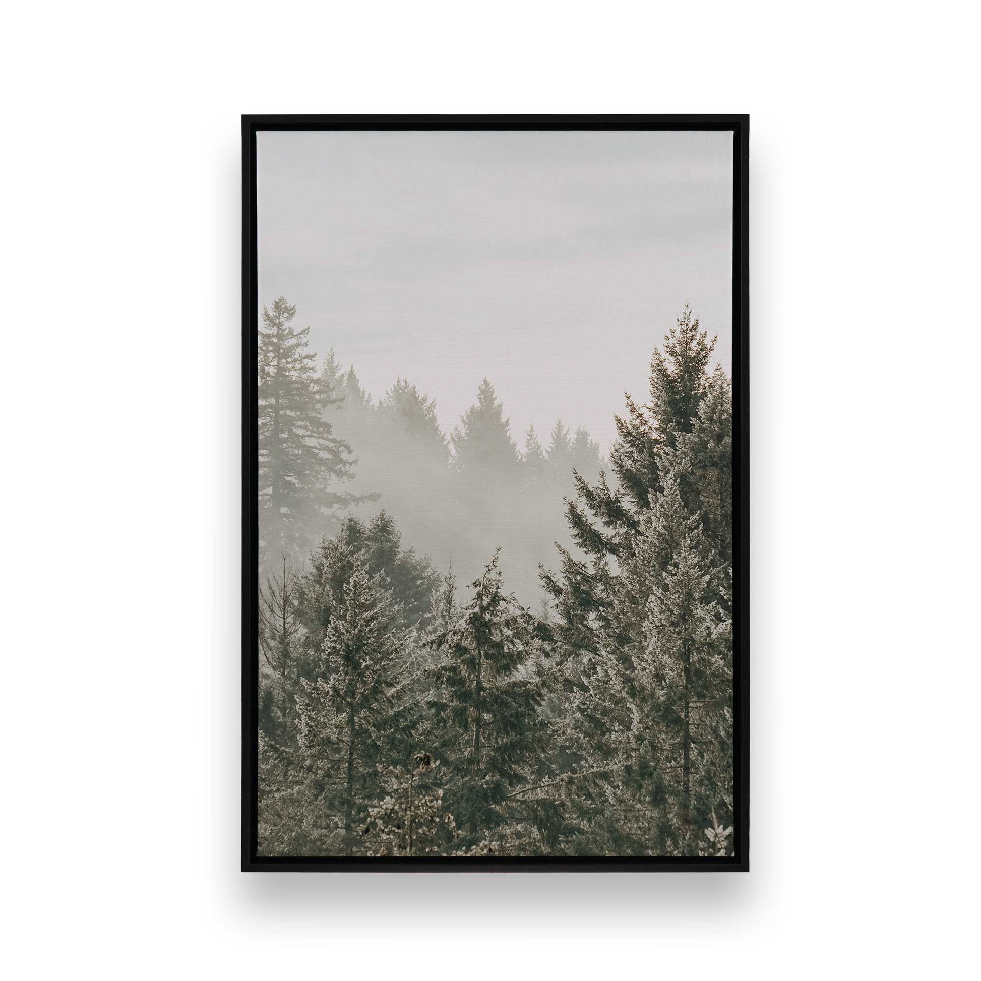 [Color:Satin Black], Front image of the art