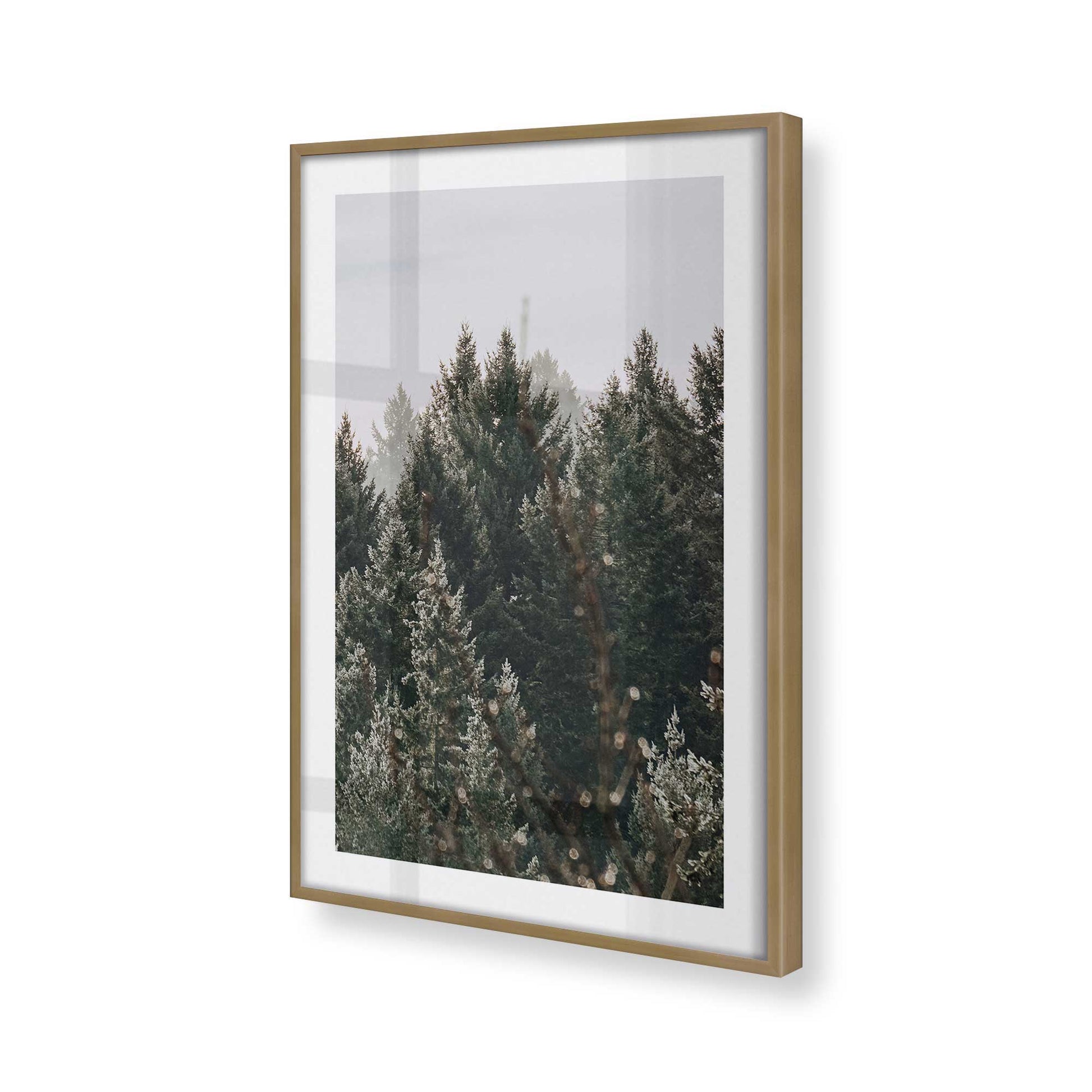 [Color:Brushed Gold], Picture of art in a Brushed Gold frame of the corner