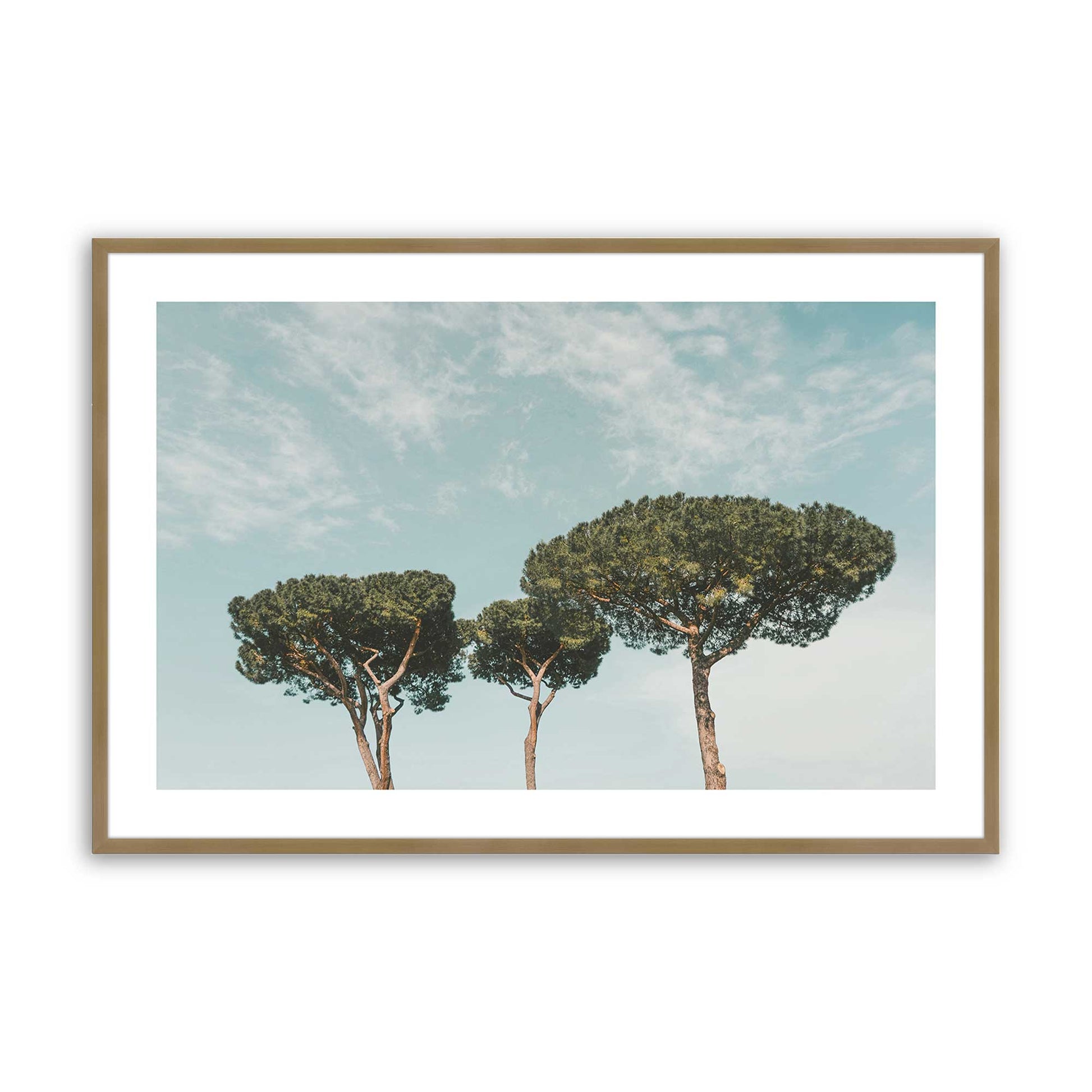 [Color:Brushed Gold], Picture of art in a Brushed Gold frame
