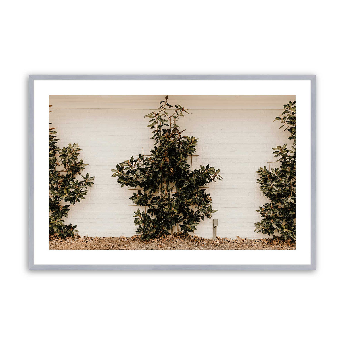 [Color:Polished Chrome], Picture of art in a Polished Chrome frame
