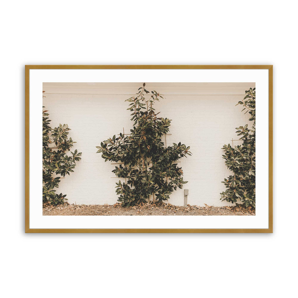 [Color:Polished Gold], Picture of art in a Polished Gold frame