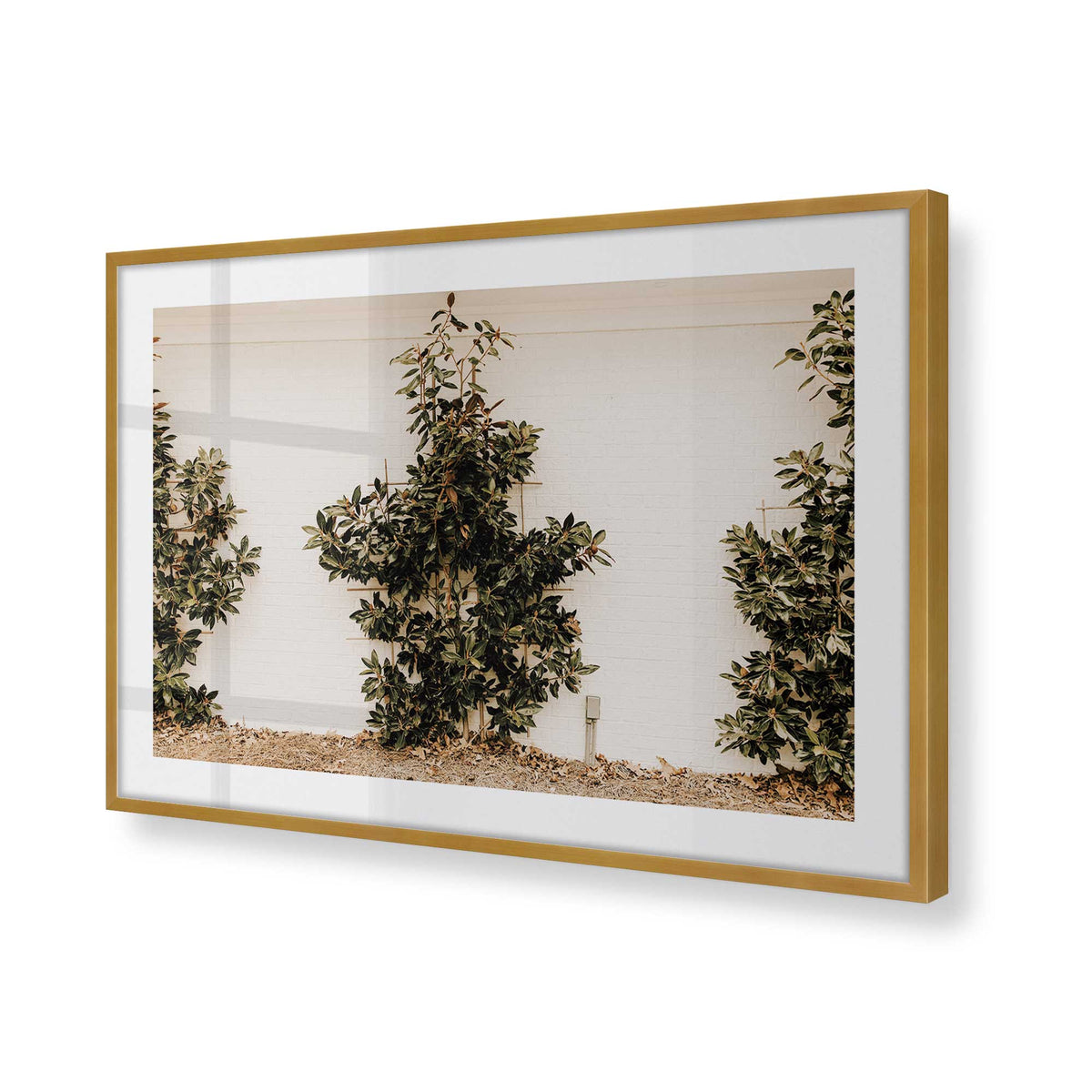 [Color:Polished Gold], Picture of art in a Polished Gold frame of the corner