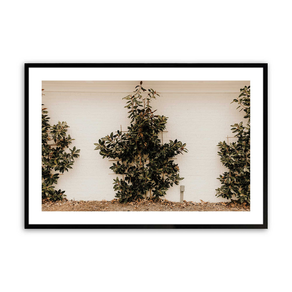 [Color:Satin Black], Picture of art in a Satin Black frame