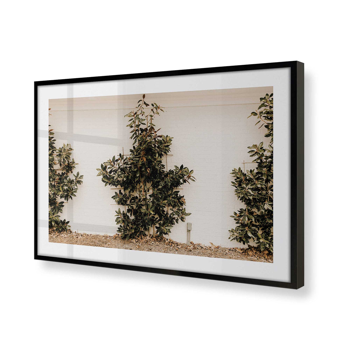 [Color:Satin Black], Picture of art in a Satin Black frame of the corner