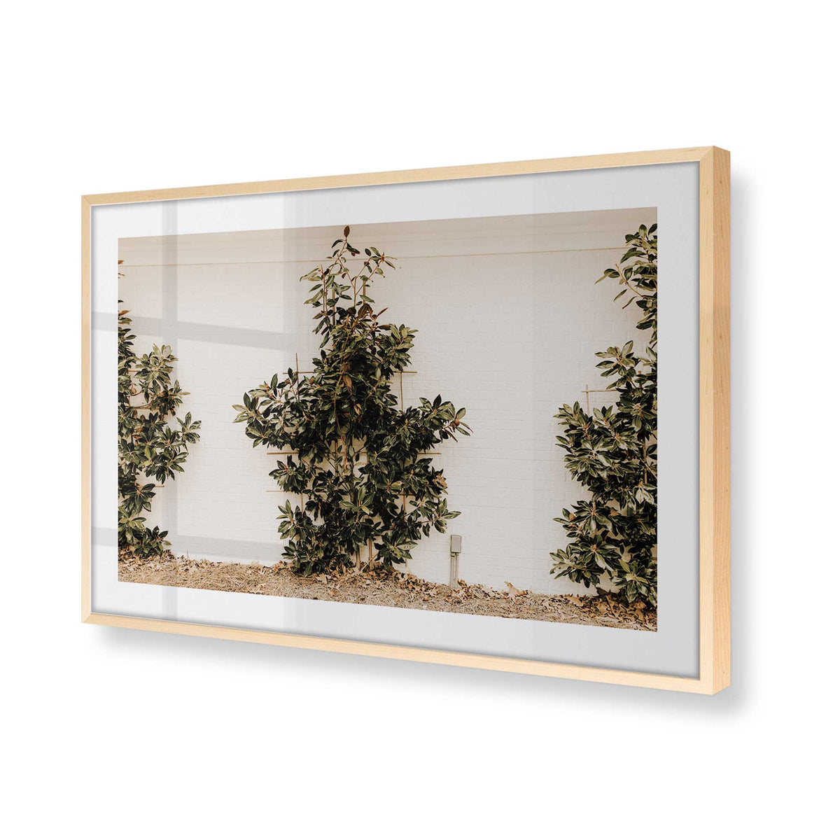 [Color:Raw Maple], Picture of art in a Raw Maple frame of the corner