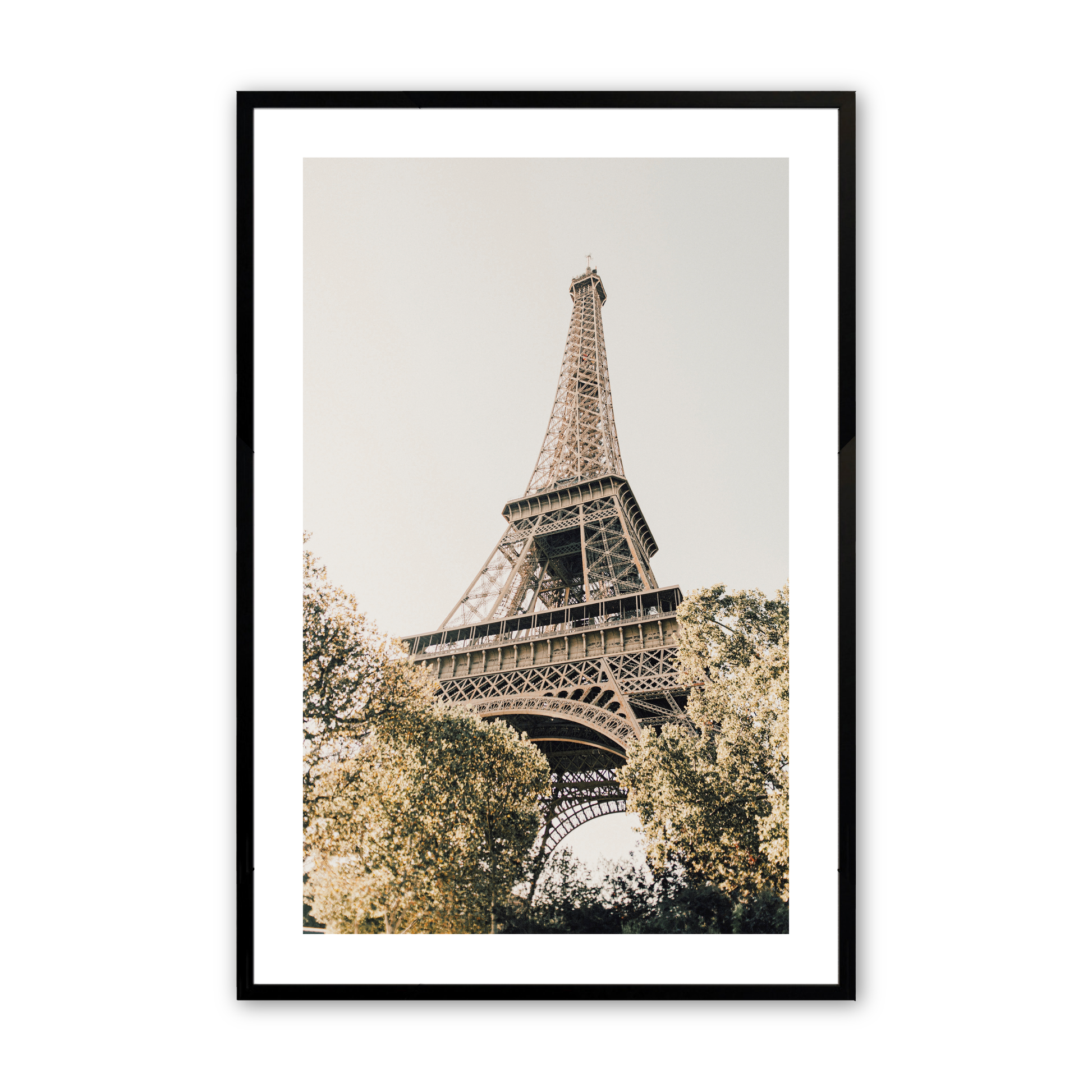 [Color:Satin Black],Front image of the art
