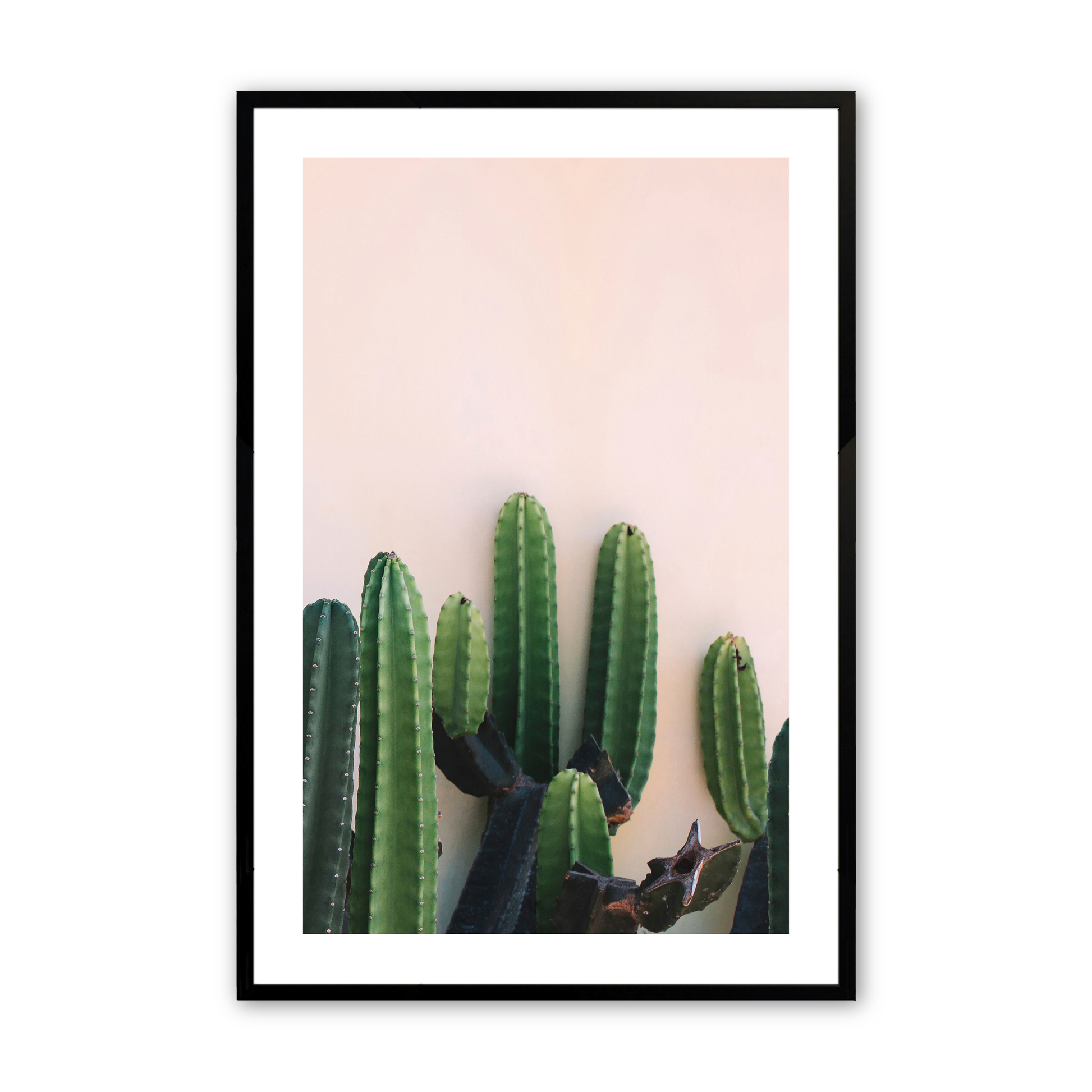 [LIFESTYLE],[SPECIAL],Picture of art in a room